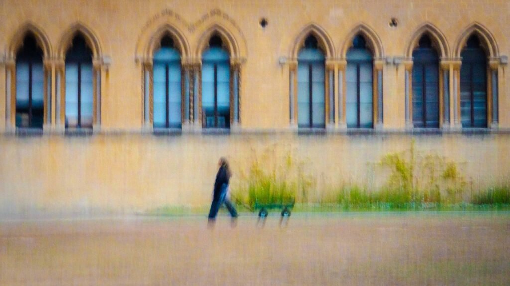 cart woman oxford copy cart woman oxford copy