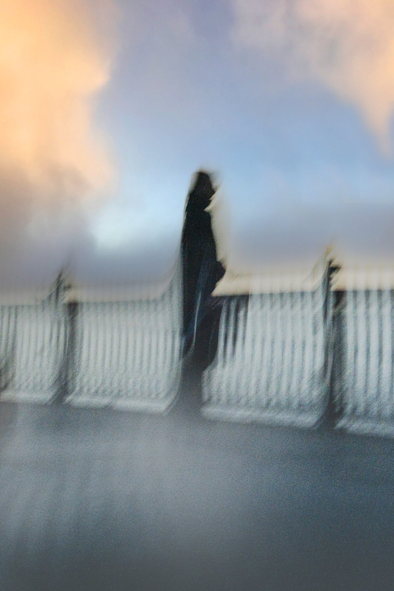 looking out to sea looking out to sea