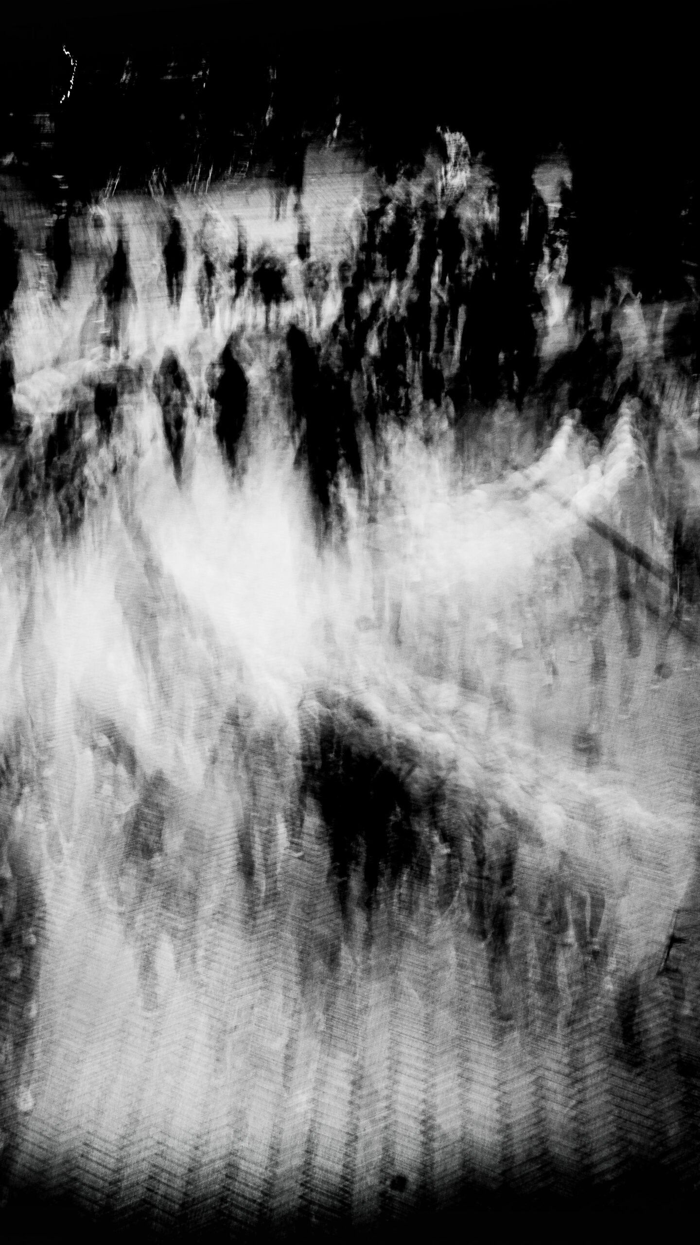 white wave white wave